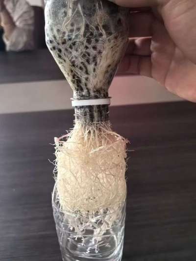 年销售量三十万吨的有机肥生产厂家，全国网点发货，资质齐全，正品保障！有机肥、生物菌肥、微生物肥料等