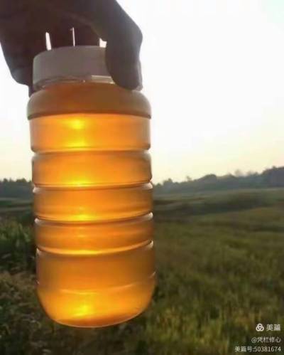&ldquo;蜜&rdquo;源自然，臻选乡土精华。产自株洲市渌口区淦田镇成国家庭农场的纯天然中华蜂蜜，