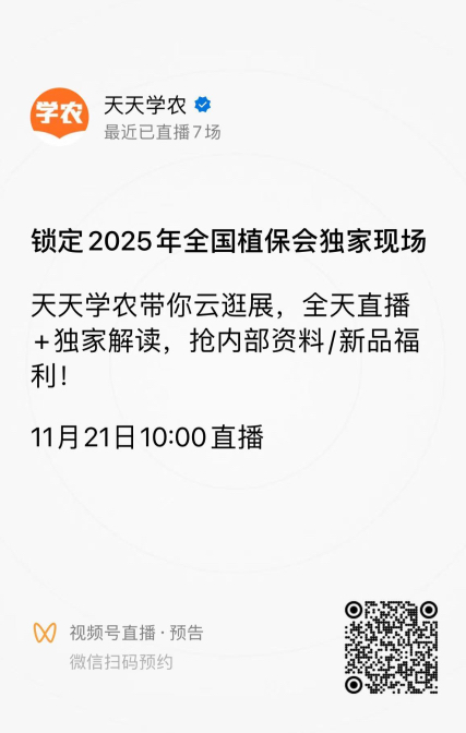 http://st-static1.zhixiangcm.com/forums/2025/11/18/17634292668744.png