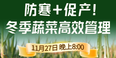 《细说农技》专家张宝林教冬季蔬菜防寒 + 促产高效管理，27 日晚 8 点！