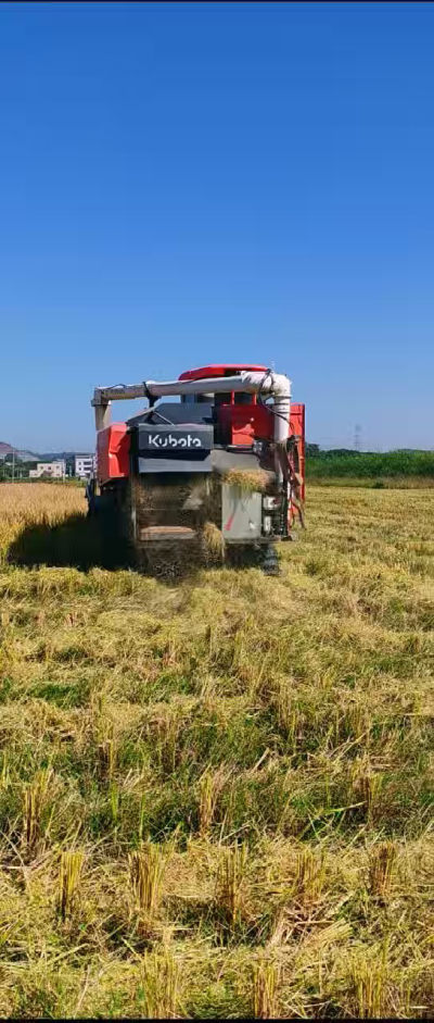 惠州基地，无人拖拉机收水稻了。