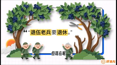 第7节：修剪决定产量（下）&mdash;&mdash;结果树的更新与疏果，课程：《蓝莓&ldquo;高产&rdquo;实战课：从选苗到丰收的10个关键点》