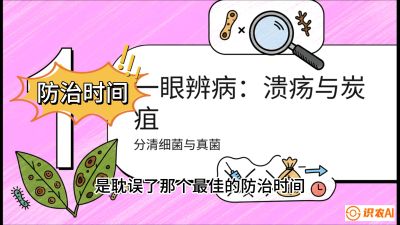 第三节：细菌与真菌&mdash;&mdash;溃疡病与炭疽病，课程：《柑橘十大病虫害：从入门到精通》