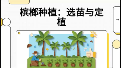 第01节：选苗与定植&mdash;&mdash;&ldquo;苗好一半收，底肥定千秋&rdquo;课程：《槟榔种植：从不懂到精通的10堂必修课》