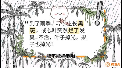 第05节：常见真菌病害&mdash;&mdash;&ldquo;炭疽与烂心，早防值千金&rdquo;《槟榔种植：从不懂到精通的10堂必修课》