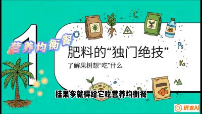第07节：科学施肥&mdash;&mdash;&ldquo;氮磷钾配好，树壮果不倒