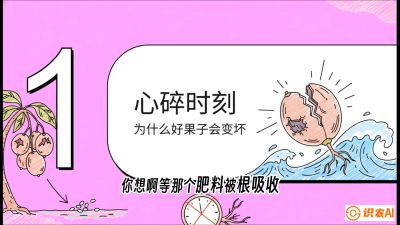 第08节：微量元素与保果&mdash;&mdash;&ldquo;补硼又补钙，果子不裂坏&rdquo;《槟榔种植：从不懂到精通的10堂必修课》