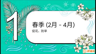 第10节：周年农事日历&mdash;&mdash;&ldquo;跟着节气走，丰产在手头&rdquo;《槟榔种植：从不懂到精通的10堂必修课》