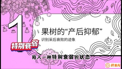 第2节：【冬肥策略】采后&ldquo;月子肥&rdquo;：大小年的精准干预术，课程：《柑橘底肥&ldquo;翻身账&rdquo;：从改土到高产的实战全书》