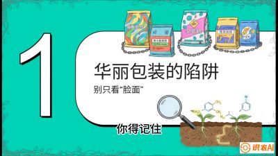 第4节：【黄金配方】底肥里的&ldquo;铁三角&rdquo;与&ldquo;微量雷区&rdquo;课程：《柑橘底肥&ldquo;翻身账&rdquo;：从改土到高产的实战全书》