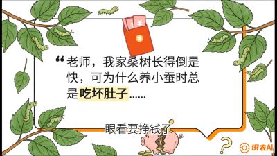 第01节：不仅仅是树&mdash;&mdash;顶级品种选配策略，课程：《桑海淘金：桑树高产与蚕桑安全进阶实战课》