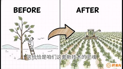 第02节：把树变成草&mdash;&mdash;&ldquo;草本化密植&rdquo;技术，课程：《桑海淘金：桑树高产与蚕桑安全进阶实战课》