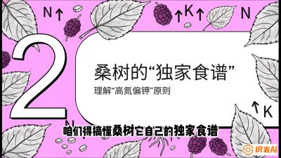 第04节：地下核动力&mdash;&mdash;桑树专用水肥一体化配方，课程：《桑海淘金：桑树高产与蚕桑安全进阶实战课》