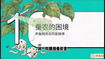 第06节：虫口夺叶（上）&mdash;&mdash;物理与生物防控绝技，课程《桑海淘金：桑树高产与蚕桑安全进阶实战课》