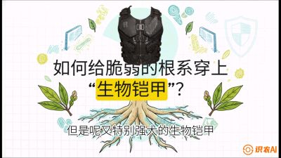 第三节：国产榴莲突围战：根系堡垒，菌根微生态构建与黄金定植窗口，课程：《国产榴莲突围战：从泰国经验到中国实操的8堂必修课（高阶实战版）》