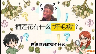 第六节：榴莲的午夜战事，夜间授粉战与花果期避雨策略，课程：《国产榴莲突围战：从泰国经验到中国实操的8堂必修课（高阶实战版）》