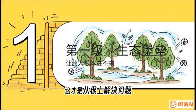 第七节：榴莲防御战：病虫害三级立体防控，疫霉菌与虫害的立体封锁线，课程：《国产榴莲突围战：从泰国经验到中国实操的8堂必修课（高阶实战版）》