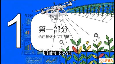 第5节：无人机也能&ldquo;看病抓药&rdquo;&mdash;&mdash;处方图与变量施肥入门，课程：《无人机植保搞钱必修课：从&ldquo;瞎飞&rdquo;到&ldquo;懂行&rdquo;的6步进阶》