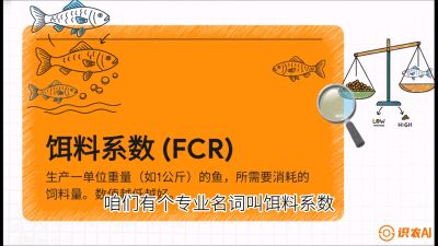 第五节：【高端单品&middot;鳜鱼】&ldquo;饲料鳜&rdquo;技术：打破吃活饵的高成本魔咒，课程：《黄金鳞甲：2025中国淡水鱼高效养殖实战营》