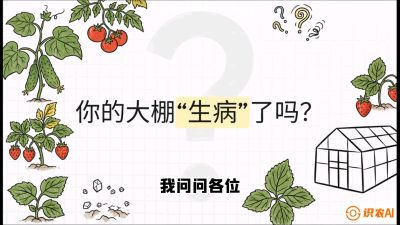 第2节（解毒篇）： 大棚里的&ldquo;红白绿&rdquo;警报&mdash;&mdash;读懂土壤盐渍化的求救信号，课程：《揭秘土壤的秘密：让土地帮你赚钱》#识农AI