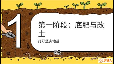 第6节（统筹篇）： 省钱又增产的&ldquo;黄金配比&rdquo;&mdash;&mdash;不同作物全年的养土实操方案，课程：《揭秘土壤的秘密：让土地帮你赚钱》#识农AI