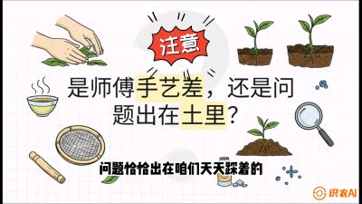 第02节（土肥篇）：告别&ldquo;苦涩水味&rdquo;：揭秘&ldquo;碳氮比&rdquo;调控术，种出自带兰花香的好茶底，课程：《茶金时代：从&ldquo;看天吃饭&rdquo;到&ldquo;精准控局&rdquo;的茶叶高产提质实战课》