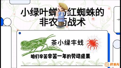 第03节（虫害篇）：看不见的吸血鬼：小绿叶蝉与红蜘蛛的&ldquo;非农药&rdquo;团灭战术（抗性治理），课程：《茶金时代：从&ldquo;看天吃饭&rdquo;到&ldquo;精准控局&rdquo;的茶叶高产提质实战课》