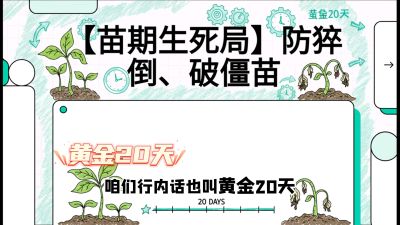 第2节：【苗期生死局】防猝倒、破僵苗，决定后期产量的&ldquo;黄金20天&rdquo;，课程：《辣椒种植实战特训营，从工业辣椒到精品小米辣，教你如何把&ldquo;草&rdquo;种成&ldquo;金&rdquo;》