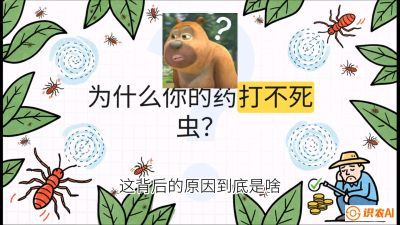 第4节：【虫害歼灭战】打不死的蓟马、隐形的茶黄螨：抗性时代的&ldquo;混配绝杀&rdquo;，课程：《辣椒种植实战特训营，从工业辣椒到精品小米辣，教你如何把&ldquo;草&rdquo;种成&ldquo;金&rdquo;》