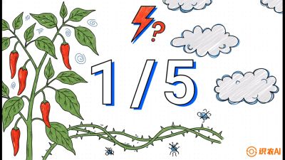 第6节：【花果爆发术】落花落果的五大元凶，与&ldquo;三喷一保&rdquo;坐果黑科技，课程：《辣椒种植实战特训营，从工业辣椒到精品小米辣，教你如何把&ldquo;草&rdquo;种成&ldquo;金&rdquo;》