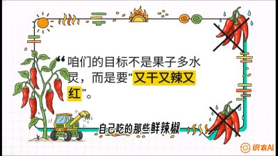 第7节：【工业辣椒专场】追求极致辣度！干物质提升与机械化采收的&ldquo;催红秘籍&rdquo;，课程：《辣椒种植实战特训营，从工业辣椒到精品小米辣，教你如何把&ldquo;草&rdquo;种成&ldquo;金&rdquo;》