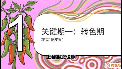 第8节：【小米辣线椒专场】颜值即正义！防花皮、防炭疽，打造收购商抢着要的&ldquo;精品果&rdquo;，课程：《辣椒种植实战特训营，从工业辣椒到精品小米辣，教你如何把&ldquo;草&rdquo;种成&ldquo;金&rdquo;》
