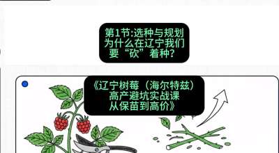 第一节： 选种与规划&mdash;&mdash;为什么在辽宁我们要&ldquo;砍&rdquo;着种？，课程：《辽宁树莓（海尔特兹）高产避坑实战课：从保苗到高价》