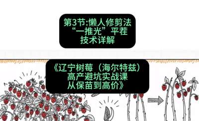 第三节： 懒人修剪法&mdash;&mdash;&ldquo;一推光&rdquo;平茬技术详解，课程：《辽宁树莓（海尔特兹）高产避坑实战课：从保苗到高价》