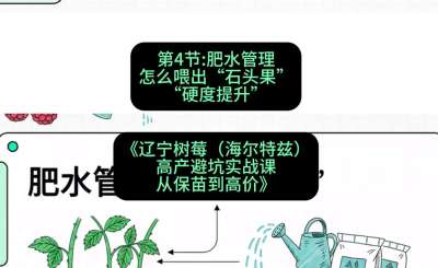 第四节： 肥水管理&mdash;&mdash;怎么喂出&ldquo;石头果&rdquo;（硬度提升），课程：《辽宁树莓（海尔特兹）高产避坑实战课：从保苗到高价》