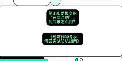 第3节：【核武药剂】爱恨交织的&ldquo;石硫合剂&rdquo;，到底该怎么用？，课程：《经济作物冬季清园&middot;实战防坑指南》#识农AI