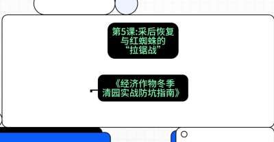 第5节：【柑橘清园】采后恢复与红蜘蛛的&ldquo;拉锯战&rdquo;，课程：《经济作物冬季清园&middot;实战防坑指南》#识农AI