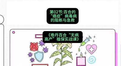 第02节：百合的&ldquo;癌症&rdquo;&mdash;&mdash;病毒病的阻断与急救，课程：《卷丹百合&ldquo;无病高产&rdquo;植保实战课》#识农AI