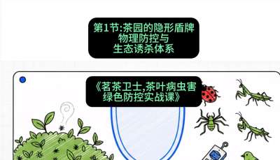第01节：茶园的&ldquo;隐形盾牌&rdquo;&mdash;&mdash;物理防控与生态诱杀体系，课程：《茗茶卫士&mdash;&mdash;茶叶病虫害绿色防控实战课》#识农AI