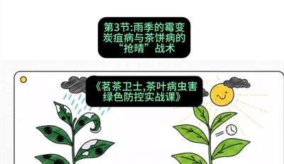 第03节：雨季的霉变&mdash;&mdash;炭疽病与茶饼病的&ldquo;抢晴&rdquo;战术，课程：《茗茶卫士&mdash;&mdash;茶叶病虫害绿色防控实战课》#识农AI