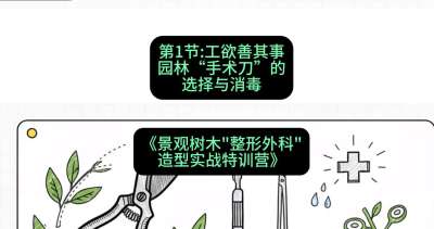 第01节：工欲善其事&mdash;&mdash;园林&ldquo;手术刀&rdquo;的选择与消毒，课程：《景观树木&ldquo;整形外科&rdquo;造型实战特训营》#识农AI