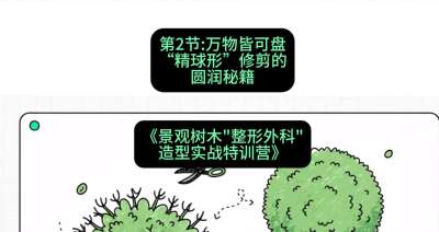 第02节：万物皆可盘&mdash;&mdash;&ldquo;精球形&rdquo;修剪的圆润秘籍，课程：《景观树木&ldquo;整形外科&rdquo;造型实战特训营》#识农AI