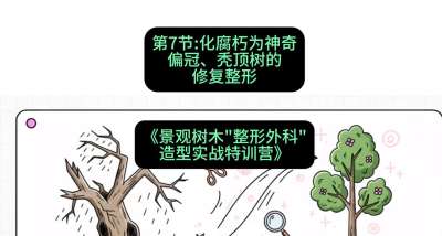 第07节：化腐朽为神奇&mdash;&mdash;偏冠、秃顶树的修复整形，课程：《景观树木&ldquo;整形外科&rdquo;造型实战特训营》#识农AI