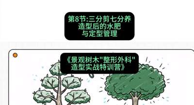 第08节：三分剪七分养&mdash;&mdash;造型后的水肥与定型管理，课程：《景观树木&ldquo;整形外科&rdquo;造型实战特训营》#识农AI