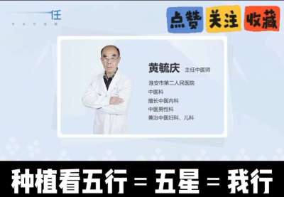 中药材淫羊藿怎么种？听专家一次讲明白！不挑地块好管理，耐寒耐旱省心省力，新手也能轻松上手，药用价值高、市场需求稳，妥妥的增收好品种～ 从生长习性到采收要点，干货满满无废话，种植疑问直接问，一对一答疑解