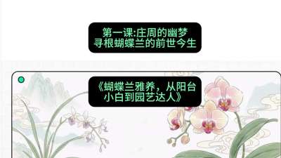 第一节：庄周的幽梦：寻根蝴蝶兰的前世今生，课程：《蝴蝶兰雅养六讲：从阳台小白到园艺达人》#识农AI