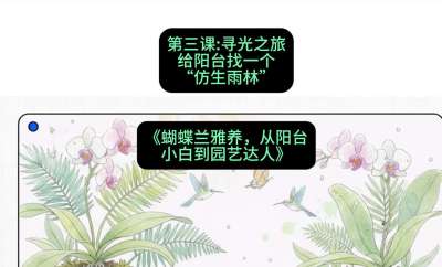 第三节：寻光之旅：给阳台找一个&ldquo;仿生雨林&rdquo;，课程：《蝴蝶兰雅养六讲：从阳台小白到园艺达人》#识农AI