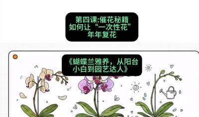 第四节：催花秘籍：如何让&ldquo;一次性花&rdquo;年年复花，课程：《蝴蝶兰雅养六讲：从阳台小白到园艺达人》#识农AI
