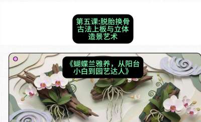 第五节：脱胎换骨：古法上板与立体造景艺术，课程：《蝴蝶兰雅养六讲：从阳台小白到园艺达人》#识农AI
